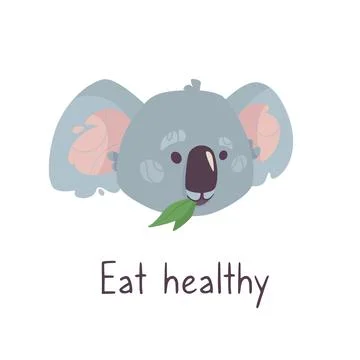 Gray koala chews foliage and the inscription Healthy nutrition. Funny australian Stock Illustration