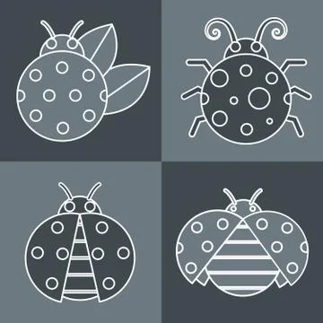 Gray ladybug with white stroke on  background Stock Illustration