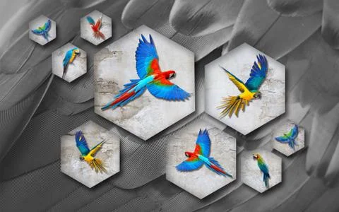 Gray large feathers on the background, stone hexagons and bright parrots Stock Illustration