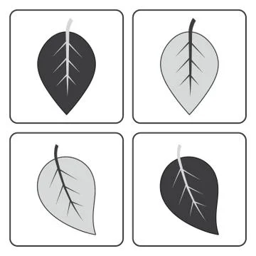 Gray leaf set Stock Illustration
