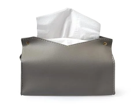 Gray leatherette tissue box dispensing white paper Stock Photos