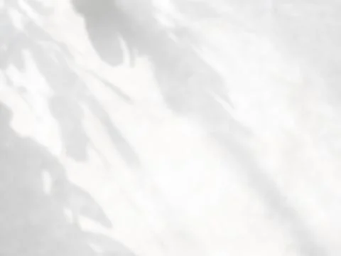 Gray leaves shadow on a wall Stock Photos