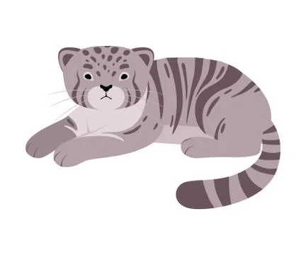 Gray manul. Vector illustration on a white background. Stock Illustration