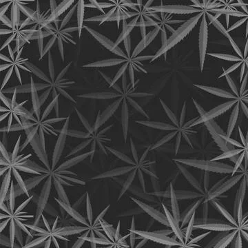 Gray Marijuana Pattern Gray Cannabis Leaves Background. Gray Marijuana Pat... Stock Photos