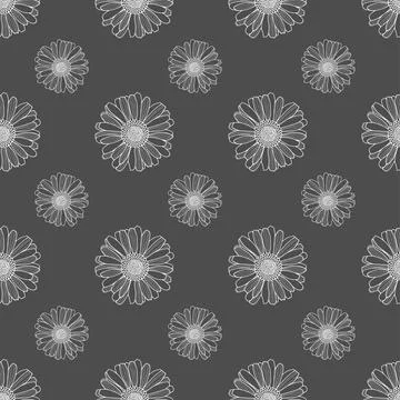 Gray minimalistic seamless pattern with daisies. Stock Illustration