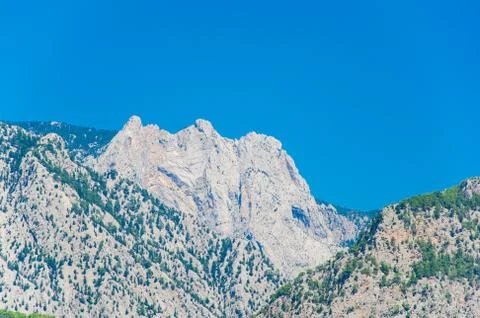 Gray mountains dotted with trees over a blue sky Foto stock