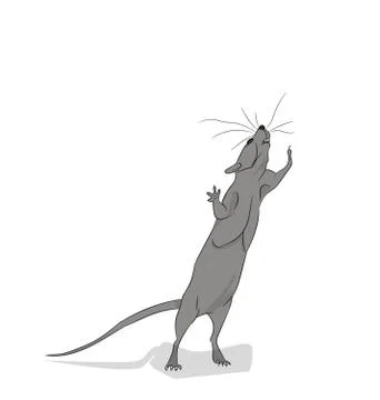 Gray mouse looks up, vector Stock Illustration