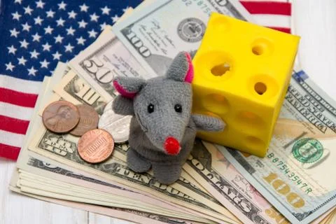 Gray mouse, the symbol of the year stands on the money on the background Fotos Stock