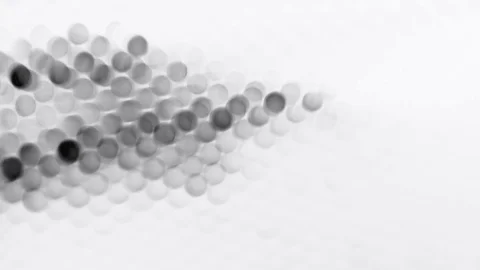 Gray Moving Lens Flare Stock Footage 127926883