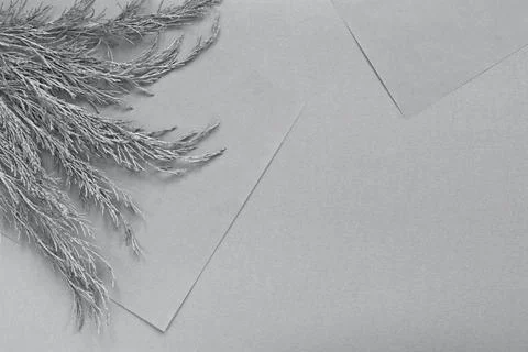 Gray neutral layout template with paper and branches for product placement Stock-Fotos