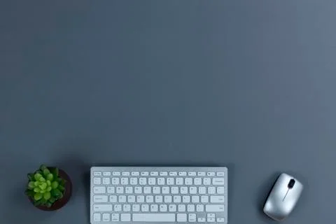 Gray office working desktop with technology and plant. Plenty of copy space. Stock Photos
