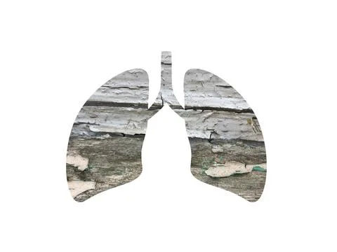 Gray old texture. Shot through the cut out silhouette of the lungs Stock Photos