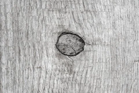 Gray old wood background with structure knot. Close-up natural ancient texture Stock Photos