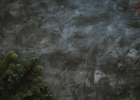 Gray paint wall with different green leaves look beautiful Stock Photos
