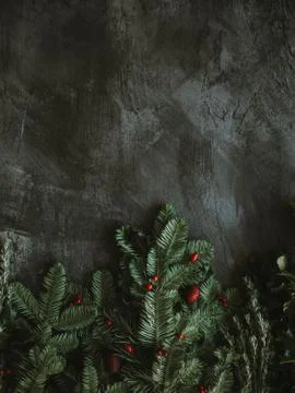 Gray paint wall with different leaves look beautiful Stock Photos