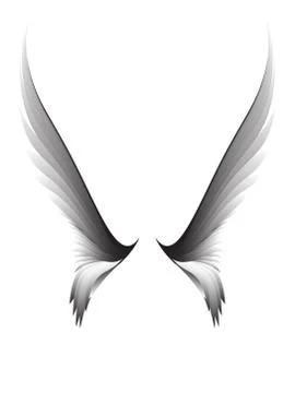 Gray pair wings Stock Illustration