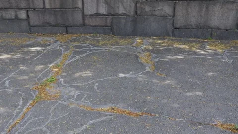Off gray patchwork of giant cracks in a worn gray sidewalk meet a brick wall Stock Footage 242342919