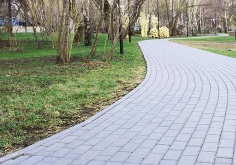Gray paving slabs, paved path, among greenery in a shady park. Shallow depth of Stock Photos