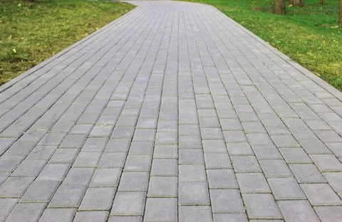 Gray paving slabs, paved path, among greenery in a shady park. Shallow depth of Stock Photos