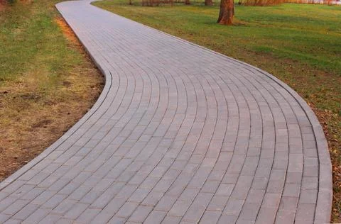 Gray paving slabs, paved path, among greenery in a shady park. Shallow depth of Stock Photos