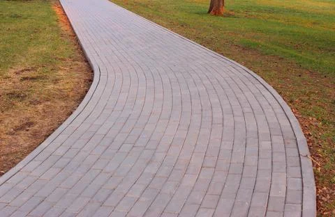 Gray paving slabs, paved path, among greenery in a shady park. Shallow depth of Stock Photos