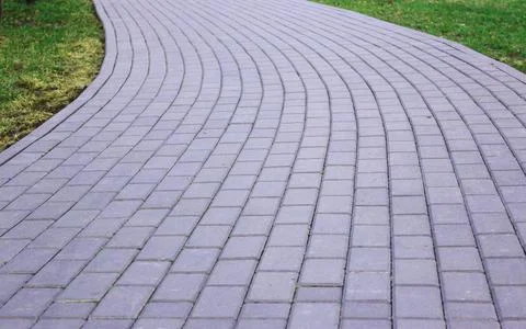 Gray paving slabs, paved path, among greenery in a shady park. Shallow depth of Stock Photos