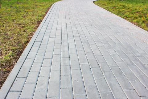 Gray paving slabs, paved path, among greenery in a shady park. Shallow depth of Stock Photos