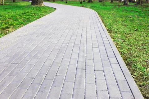 Gray paving slabs, paved path, among greenery in a shady park. Shallow depth of Stock Photos