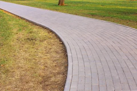 Gray paving slabs, paved path, among greenery in a shady park. Shallow depth of Stock Photos