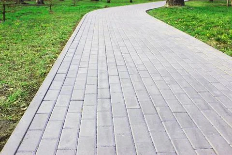 Gray paving slabs, paved path, among greenery in a shady park. Shallow depth of Stock Photos