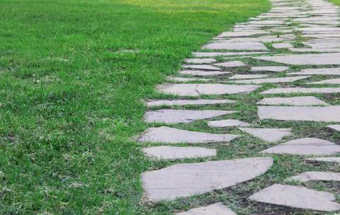 Gray paving slabs, paved path, among greenery in a shady park. Shallow depth of Stock Photos