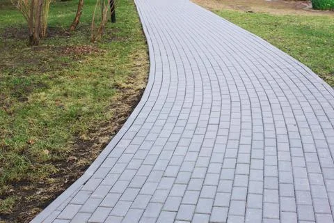 Gray paving slabs, paved path, among greenery in a shady park. Shallow depth of Stock Photos