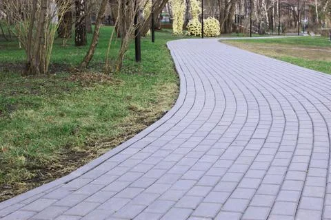 Gray paving slabs, paved path, among greenery in a shady park. Shallow depth of Stock Photos