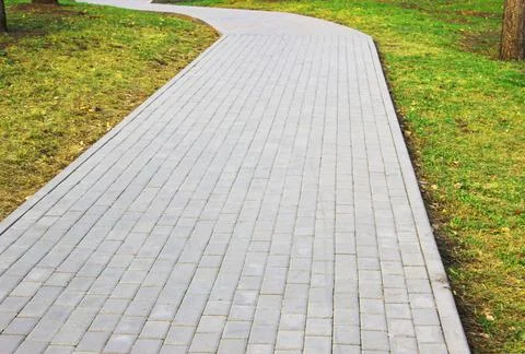 Gray paving slabs, paved path, among greenery in a shady park. Shallow depth of Stock Photos