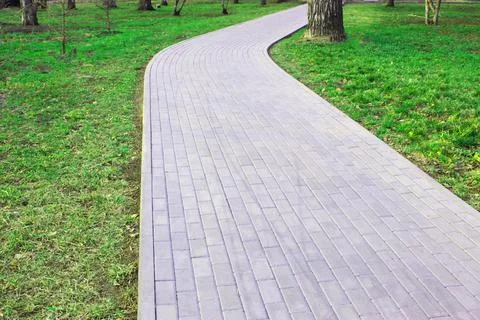Gray paving slabs, paved path, among greenery in a shady park. Shallow depth of Stock Photos