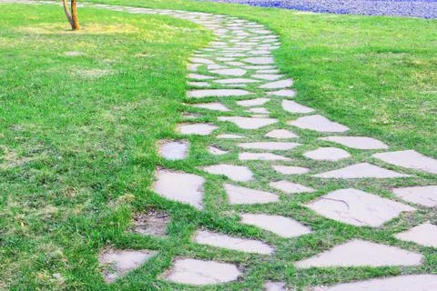 Gray paving slabs, paved path, among greenery in a shady park. Shallow depth of Stock Photos