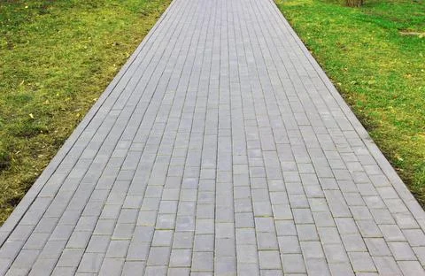 Gray paving slabs, paved path, among greenery in a shady park. Shallow depth of Stock Photos