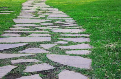 Gray paving slabs, paved path, among greenery in a shady park. Shallow depth of Stock Photos