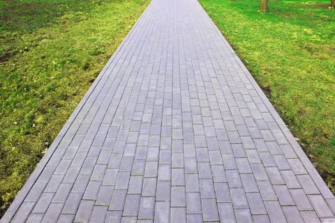 Gray paving slabs, paved path, among greenery in a shady park. Shallow depth of Stock Photos