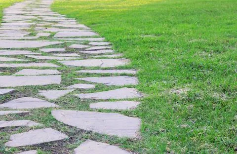 Gray paving slabs, paved path, among greenery in a shady park. Shallow depth of Stock Photos