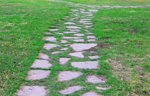 Gray paving slabs, paved path, among greenery in a shady park. Shallow depth of Stock Photos