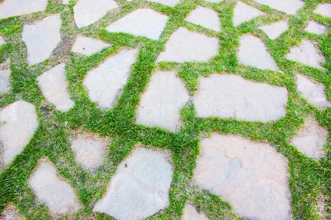 Gray paving slabs, paved path, among greenery in a shady park. Shallow depth of Stock Photos