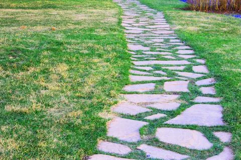 Gray paving slabs, paved path, among greenery in a shady park. Shallow depth of Stock Photos