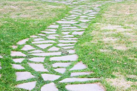 Gray paving slabs, paved path, among greenery in a shady park. Shallow depth of Stock Photos