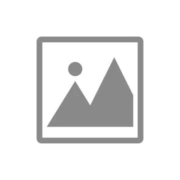 Gray photo icon. Simple vector. Stock Illustration