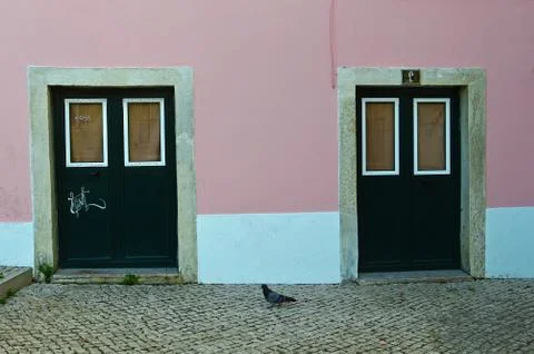 Gray pigeon between two dark green doors with windows in Lisbon, Portugal. Th Stock Photos