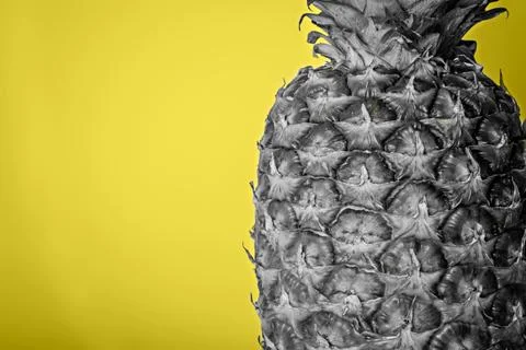 Gray pineapple on a yellow background. Stock Photos