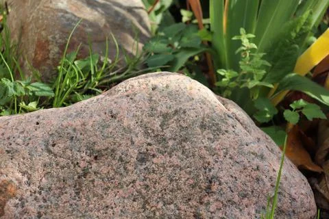 Gray-pink stone close-up Stock Photos