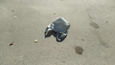 Gray plastic bag lying on the street and moving in the wind Stock Footage 160055962