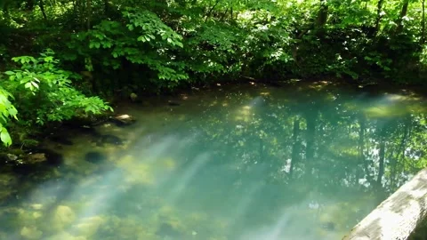 Gray pond in the jungle	 Stock Footage 149321183